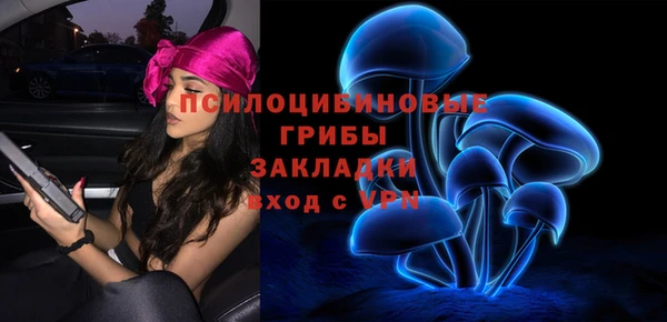 ешки Вяземский