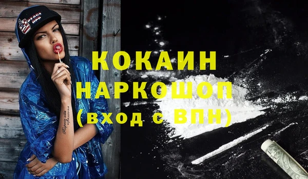 ешки Вяземский