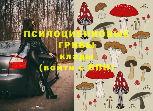 ешки Вяземский