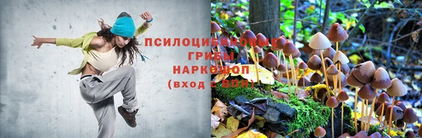 первитин Вязьма